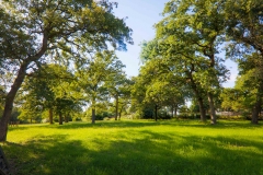 ELGIN_01-47
