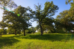 ELGIN_01-48