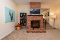 Fireplace-1-7305-Forest-Wood