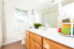 Secondary-Bathroom-1-7305-Forest-Wood