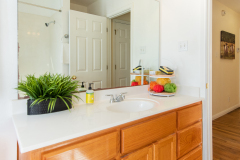Secondary-Bathroom-2-7305-Forest-Wood
