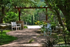 the-boulevard-at-lakeway16