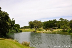 the-hills-at-lakeway12