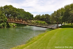 the-hills-at-lakeway13